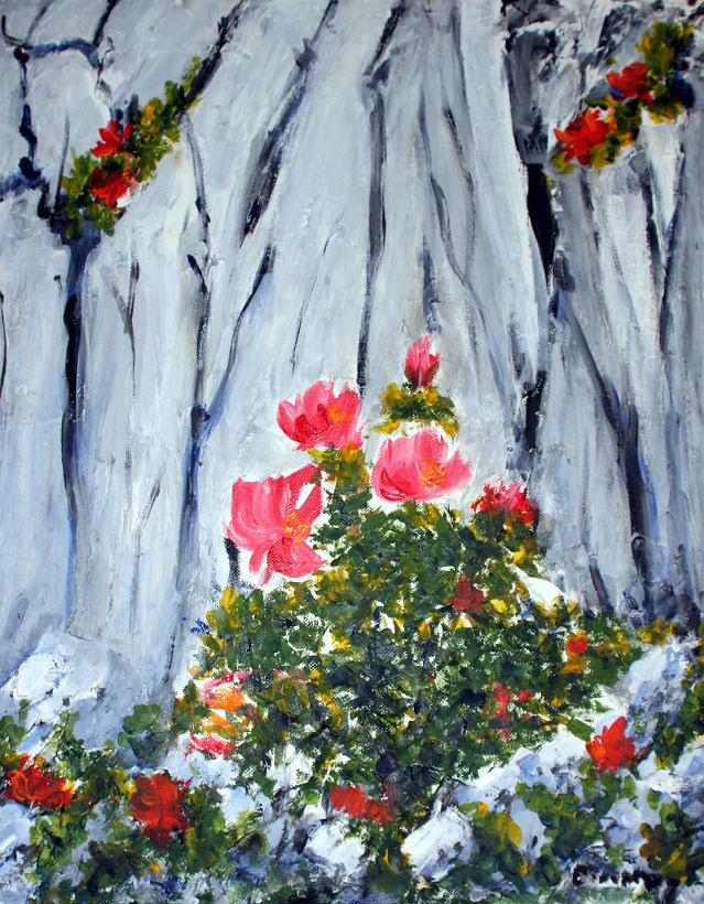 Zvonko Petanović Slavonski Brod